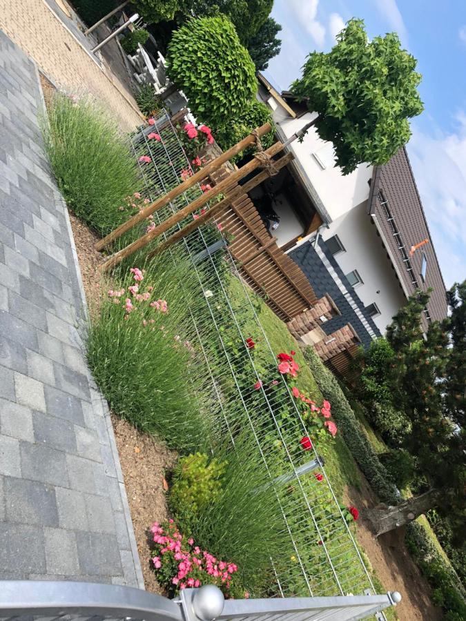 Ferienhaus Gluecksmoment Blankenburg  Exteriör bild