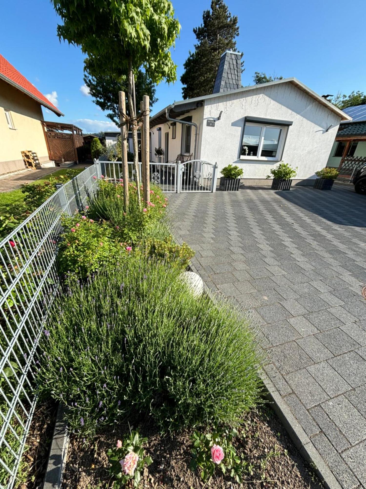 Ferienhaus Gluecksmoment Blankenburg  Exteriör bild