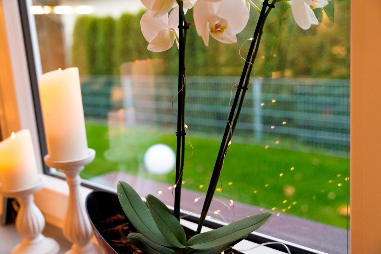 Ferienhaus Gluecksmoment Blankenburg  Exteriör bild